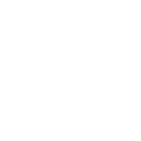 Icon_2-1